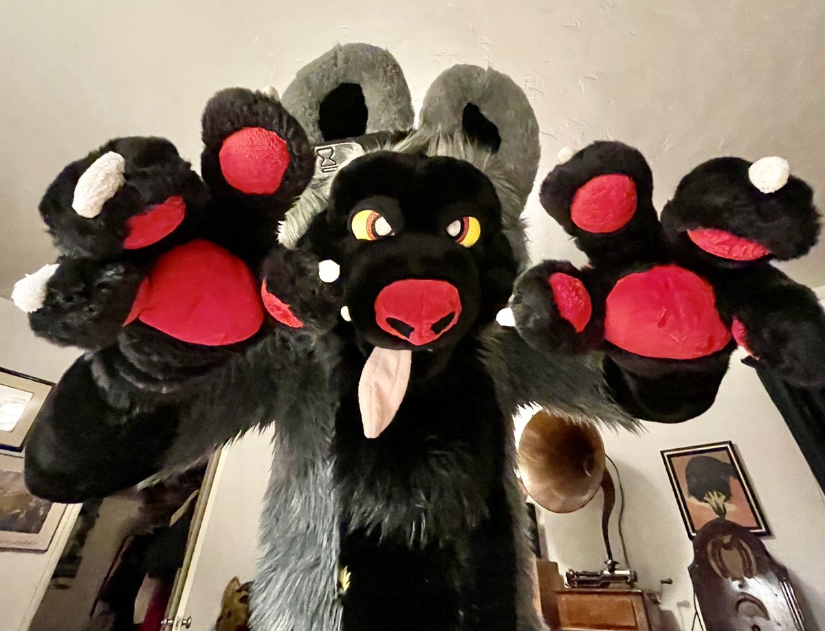 The last thing you see as Poochyena pounces. It’s your fate, cuddles await! Poochyena made by <a href="/SiegeDaWolfsky/">Siege@Furlandia&Megaplex2025</a>, worn by <a href="/YipCoyote/">16024573</a>.