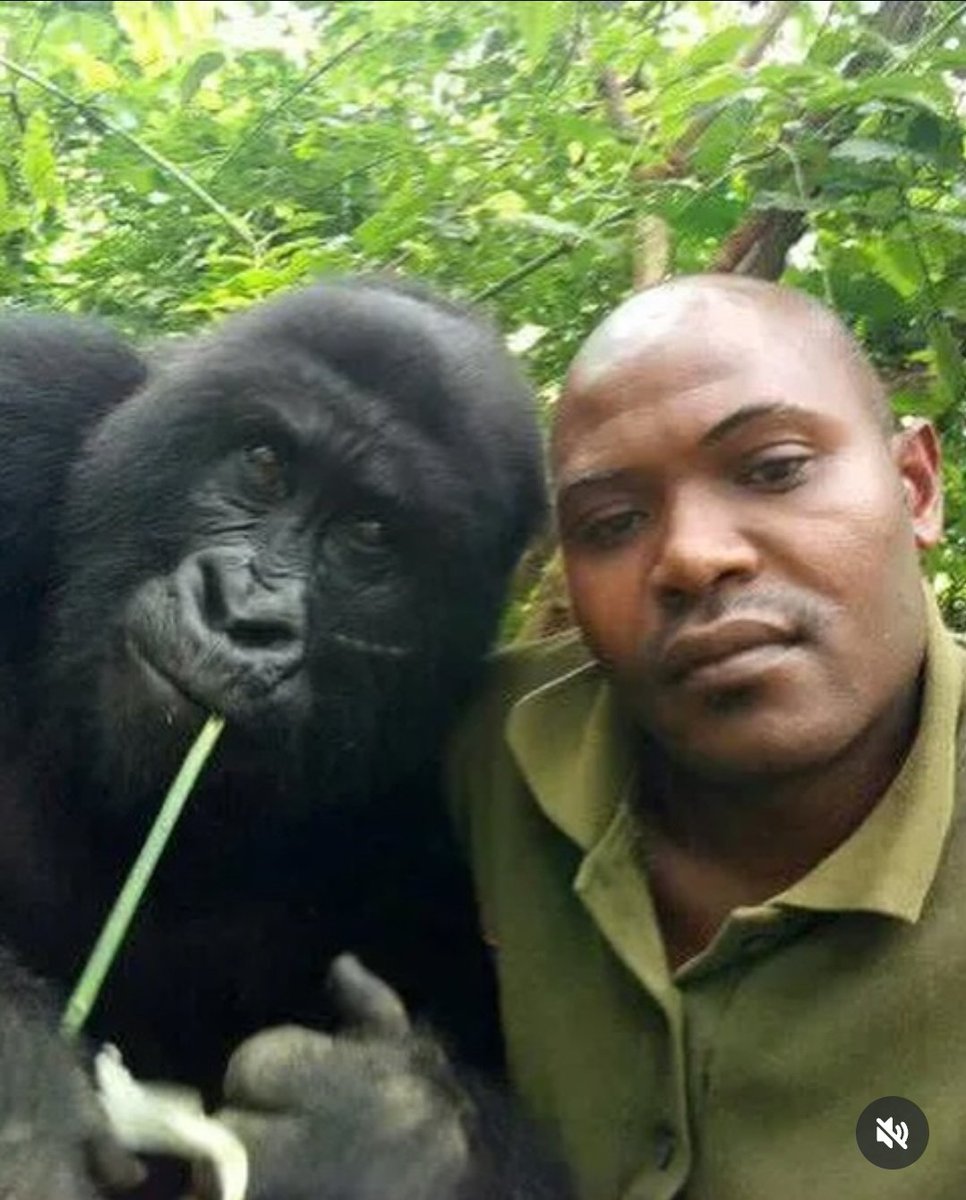 JPOneil26's tweet photo. Me and the homie after the 99 men vs. 1 Gorilla and 1 Man deathmatch https://t.co/Vyofz41hLA
