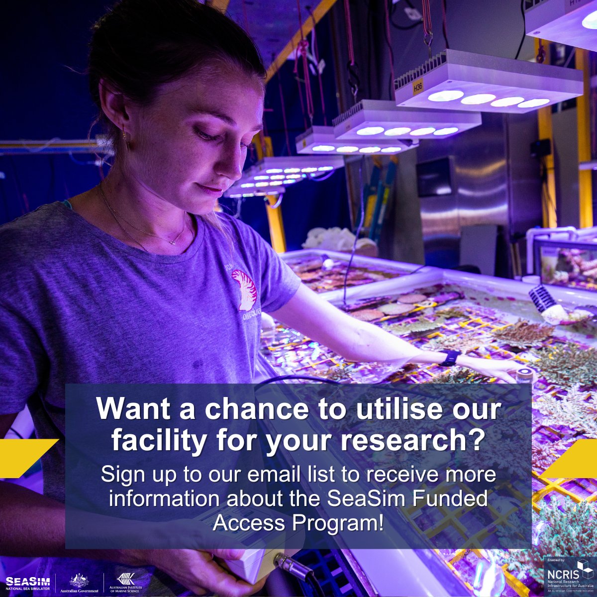 🚨 Announcing the National Sea Simulator Funded Access Program!

Researchers can soon apply for merit-based access to our world-class facility, supported by NCRIS.

To be the first to know about the program, sign up to our email list &gt; bit.ly/4iNpSdO
#SeaSim #NCRISImpact