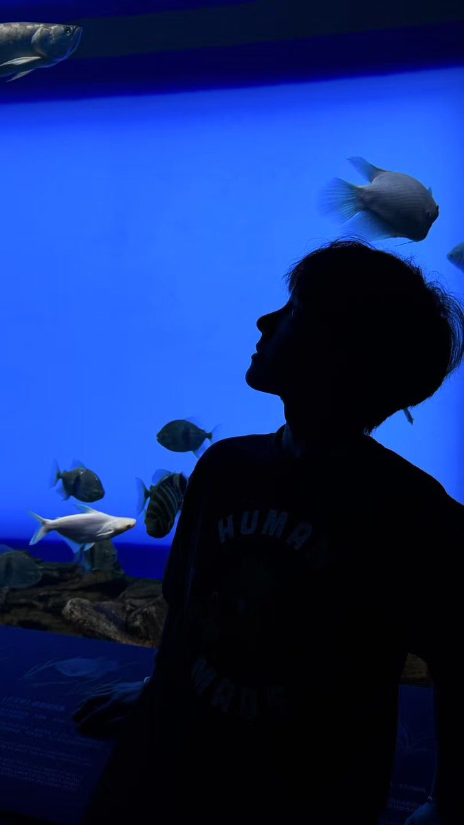 doumi1920's tweet photo. 🐠 https://t.co/fopTtEHfI0