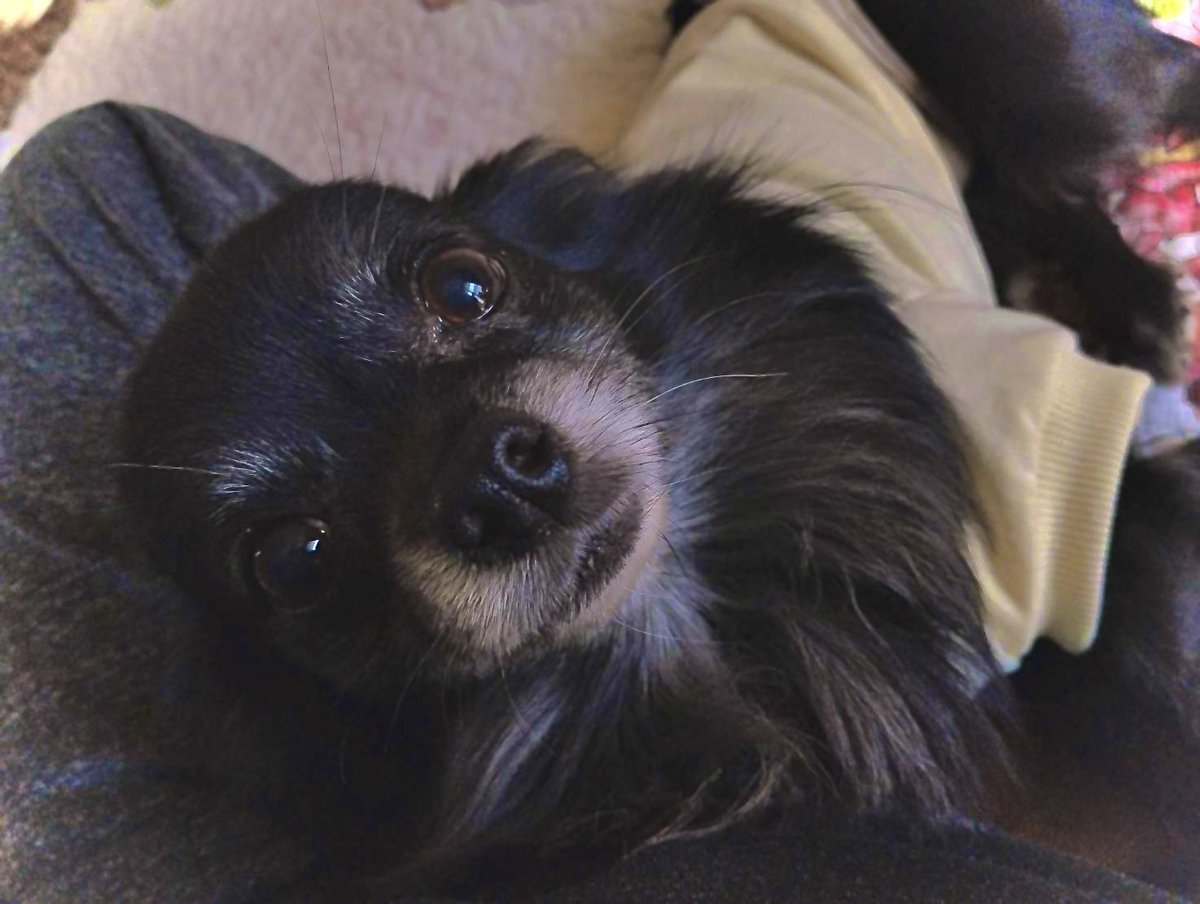 山田ジェームス武 tweet media