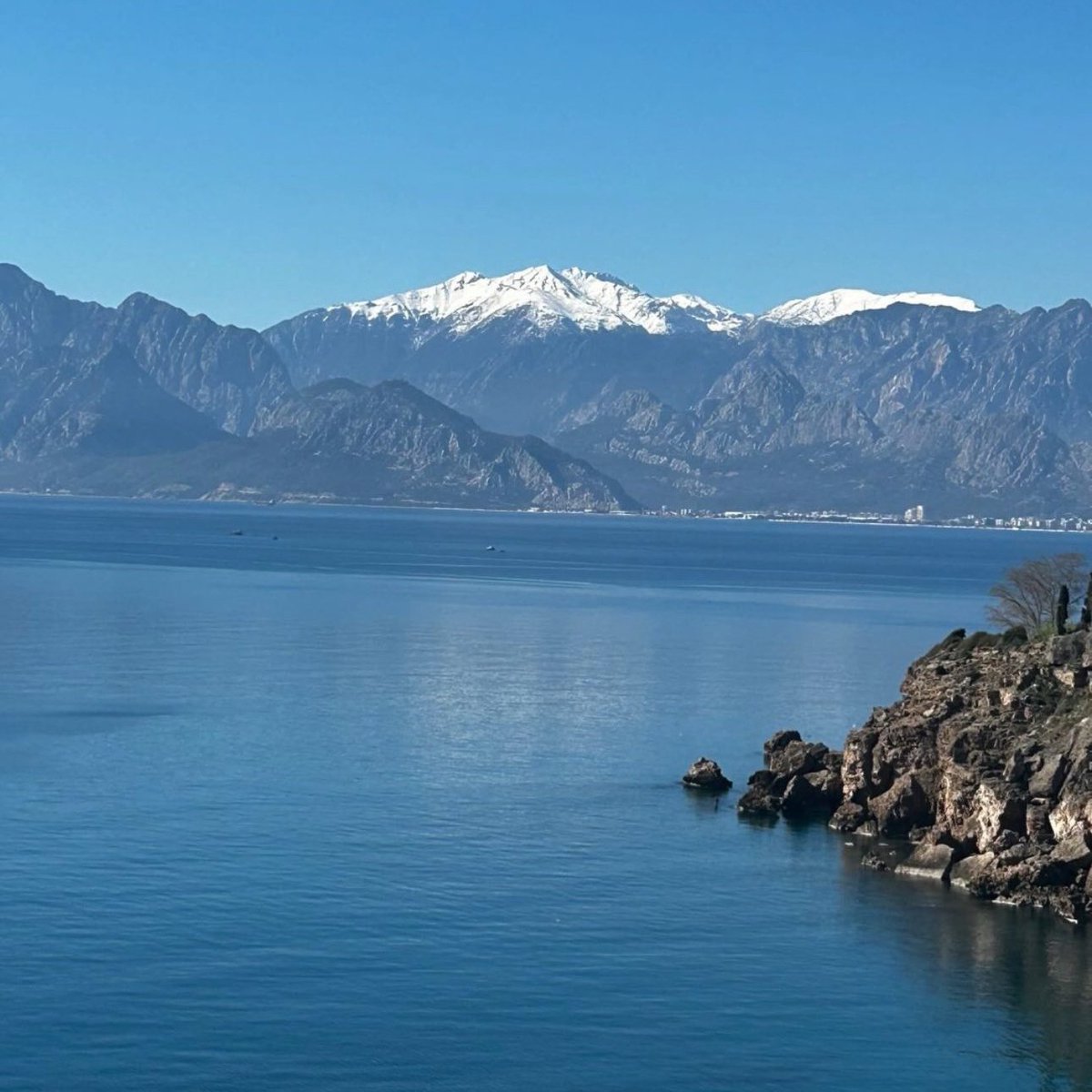 MergetMonika's tweet image. #NieuweProfielfoto