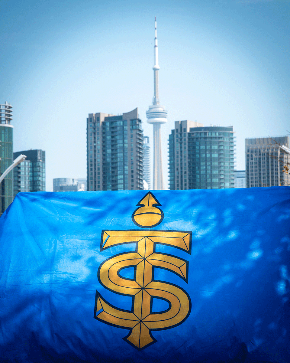Toronto Sceptres tweet media