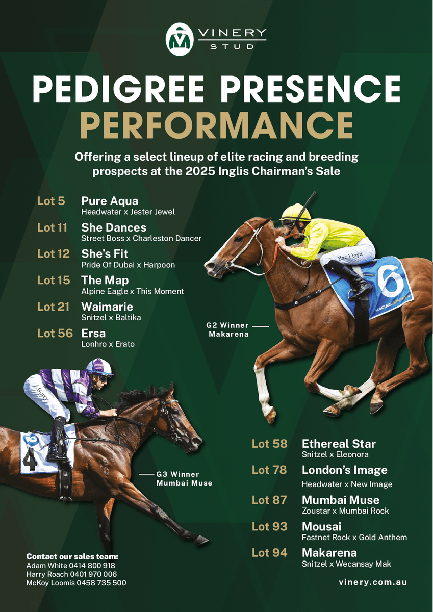 🟢 PEDIGREE
🟢 PRESENCE
🟢 PERFORMANCE

<a href="/VineryStud/">Vinery</a> offering a select lineup of elite racing and breeding prospects at the 2025 Inglis Chairman's Sale ✅️