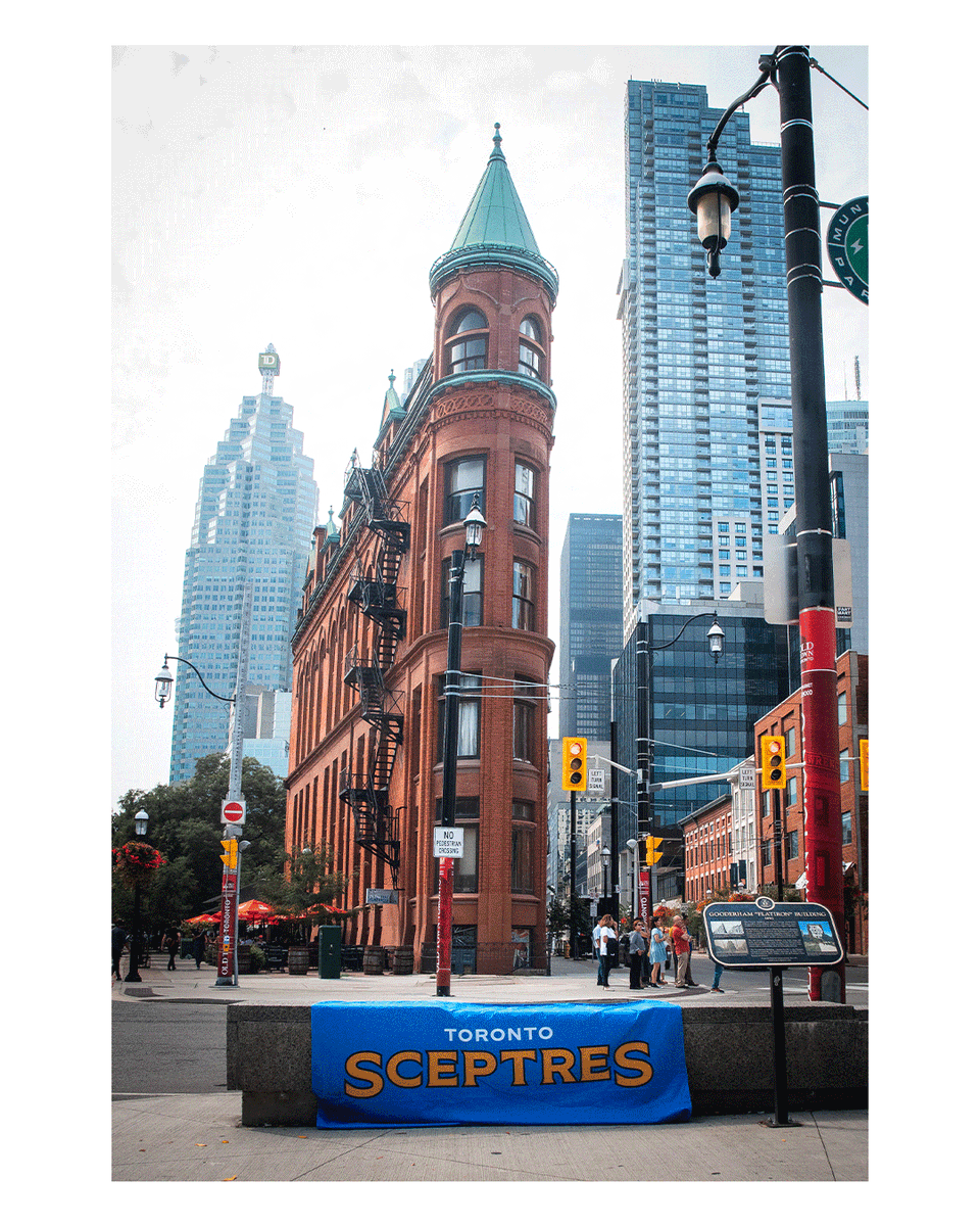 Toronto Sceptres tweet media