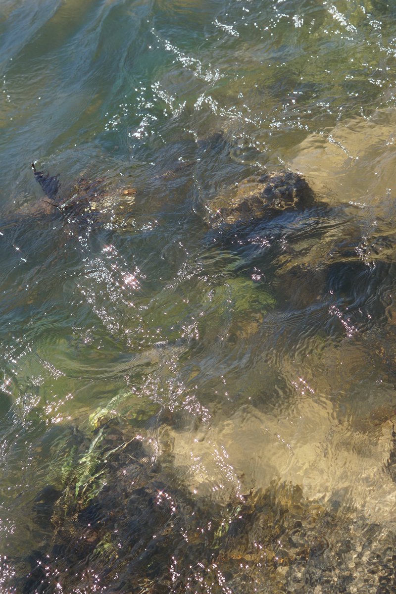 handsumquis's tweet image. 🌊🌊