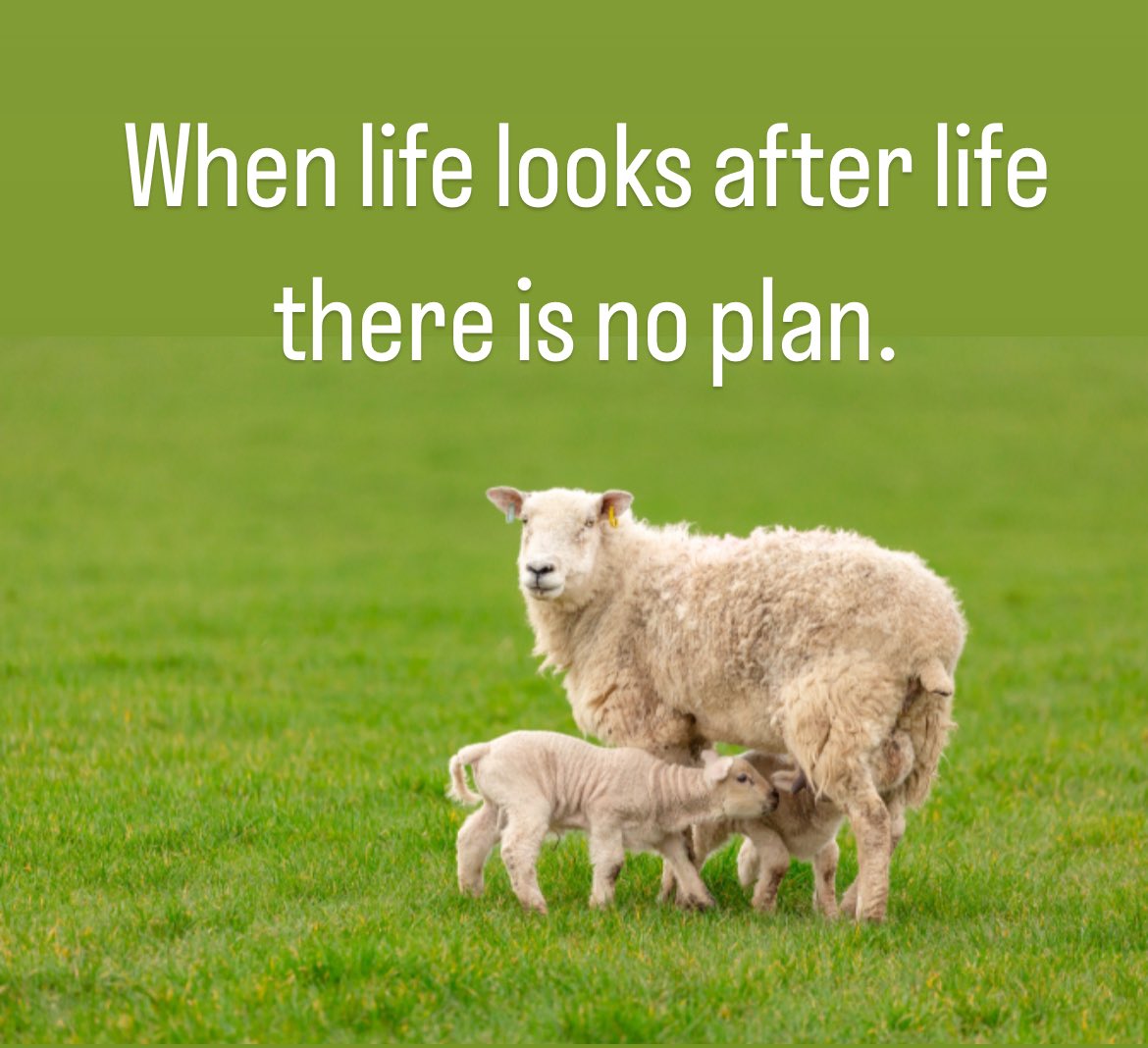 Lifestyle Health Foundation (@lifehealthfdn) on Twitter photo <a href="/nbinders/">Neil Bindemann</a> <a href="/charliersmith1/">Charlie Smith</a> <a href="/Graham_LHF/">Graham Stephens (BSLM/IBLM cert)</a> Sending you our love and big hugs <a href="/nbinders/">Neil Bindemann</a> <a href="/charliersmith1/">Charlie Smith</a> <a href="/Graham_LHF/">Graham Stephens (BSLM/IBLM cert)</a> Sending you our love and big hugs