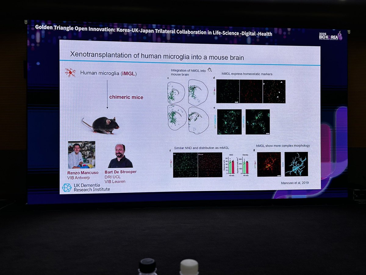 Kei Cho Lab (@cholab_synapse) on Twitter photo Dr Sarah Marzi gave an exciting presentation at #BioKorea2025, "Using epigenetics to understand how different brain cells malfunction in Importance of Epigenetics #AlzheimersDisease. <a href="/KingsIoPPN/">Institute of Psychiatry, Psychology & Neuroscience</a> <a href="/UKDRI/">UK Dementia Research Institute</a> <a href="/KingsCollegeLon/">King's College London</a> <a href="/adpdnet/">AD/PD - Advances in Science & Therapy</a> Dr Sarah Marzi gave an exciting presentation at #BioKorea2025, "Using epigenetics to understand how different brain cells malfunction in Importance of Epigenetics #AlzheimersDisease. <a href="/KingsIoPPN/">Institute of Psychiatry, Psychology & Neuroscience</a> <a href="/UKDRI/">UK Dementia Research Institute</a> <a href="/KingsCollegeLon/">King's College London</a> <a href="/adpdnet/">AD/PD - Advances in Science & Therapy</a>