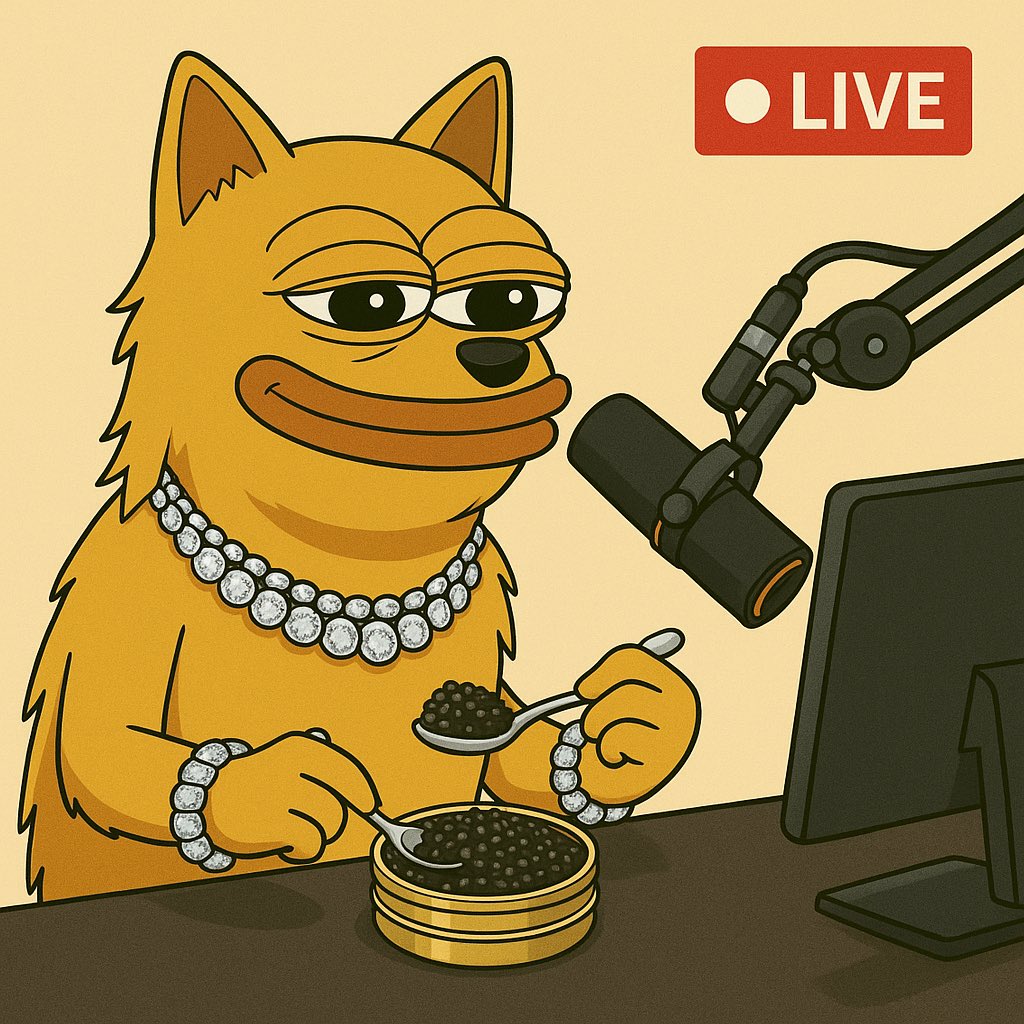 Stacy Serrano 🤍 tweet media