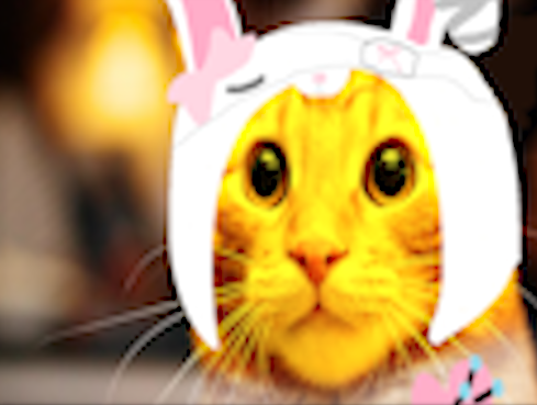 lily tweet media