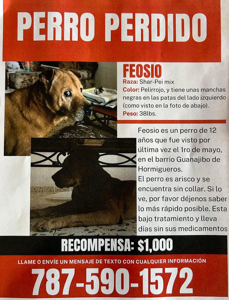 Remi Martin (@remimartinpr) on Twitter photo 🚨🚨🚨🚨🚨🚨Saludos Esto es un favor ,para una persona mayor que se le acaba de perder su compañero, ese gordito compartan , el perro recibe tratamiento y llevas 3 dia que no se le da el mismo. Tel- 787 590 1572) esta muy preocupado HORMIGUEROS
RECOMPENZA $$$ 1,000 dólares 💵de r 🚨🚨🚨🚨🚨🚨Saludos Esto es un favor ,para una persona mayor que se le acaba de perder su compañero, ese gordito compartan , el perro recibe tratamiento y llevas 3 dia que no se le da el mismo. Tel- 787 590 1572) esta muy preocupado HORMIGUEROS
RECOMPENZA $$$ 1,000 dólares 💵de r