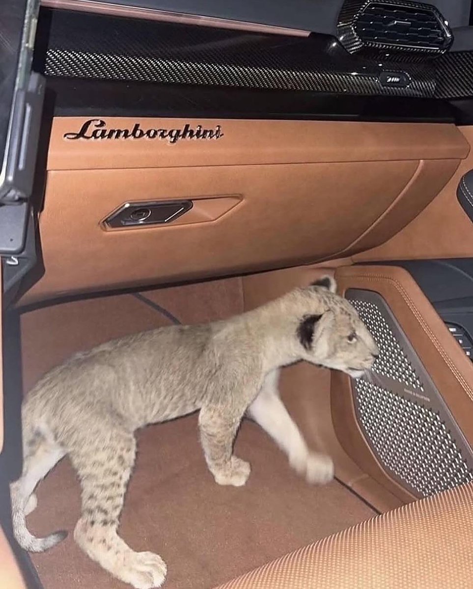 Your only limit is your mind