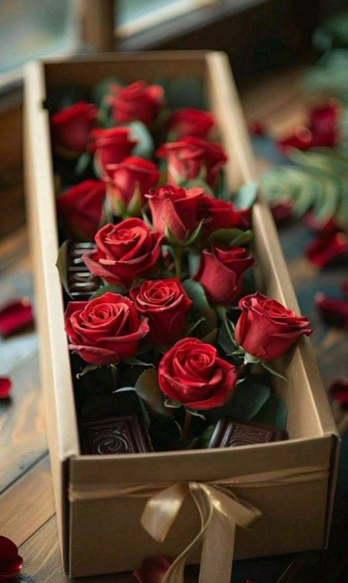 الحمد لله ..
أن لنا ربا لا يغلق بابه
وإذا انقطعت الأسباب 
جاء مداده ، وإذا قست القلوب نزلت رحماته ،
الحمد لله دوما وأبدا ..*
    صبحكم الله بالخير 🌷