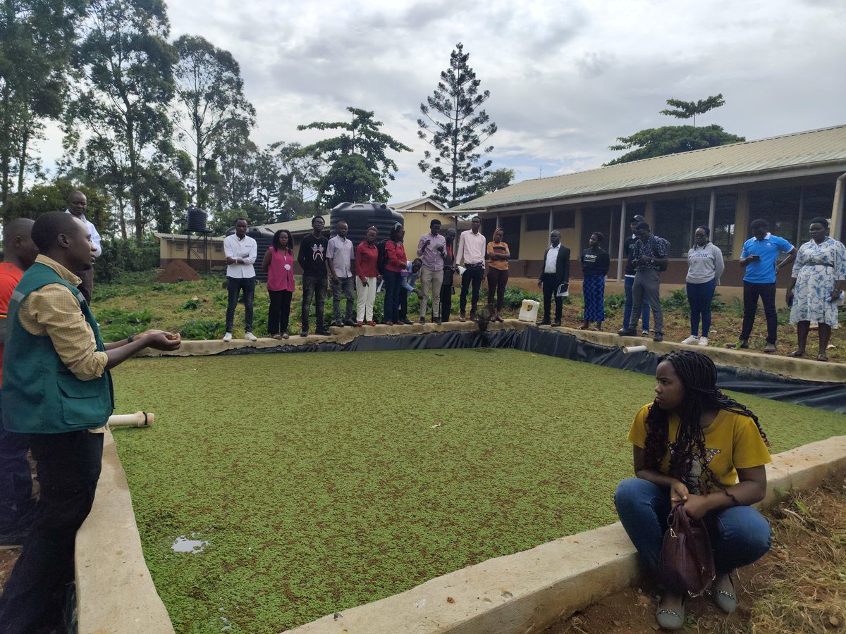 Nestor Isdore Onyango (@nestorisdore) on Twitter photo Thirty youth from Uganda and Burundi recently attended a boot camp for #GreeningtheChickenValueChain hosted by <a href="/NARO_MUZARDI/">NARO_MUZARDI</a>, <a href="/gudie_farm/">Gudie Leisure Farm</a>, & <a href="/UB_Rumuri/">Burundi University</a>.
We explored climate-smart innovations that are paving the way for sustainable poultry farming. More insights to come! Thirty youth from Uganda and Burundi recently attended a boot camp for #GreeningtheChickenValueChain hosted by <a href="/NARO_MUZARDI/">NARO_MUZARDI</a>, <a href="/gudie_farm/">Gudie Leisure Farm</a>, & <a href="/UB_Rumuri/">Burundi University</a>.
We explored climate-smart innovations that are paving the way for sustainable poultry farming. More insights to come!