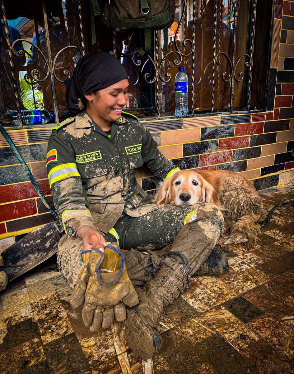 PedroSanchezCol's tweet image. Gratitud a quienes valoran el compromiso y sacrificio supremo de nuestros héroes y heroínas que visten uniforme para proteger la vida de cada colombiano.

Nada quebranta nuestro espíritu de lucha. Juramos defender nuestra patria, y en este juramento late la esperanza, el valor y…