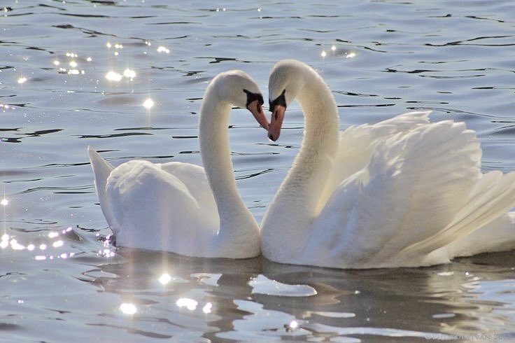 ♡ (@dreamyyarchive) on Twitter photo 