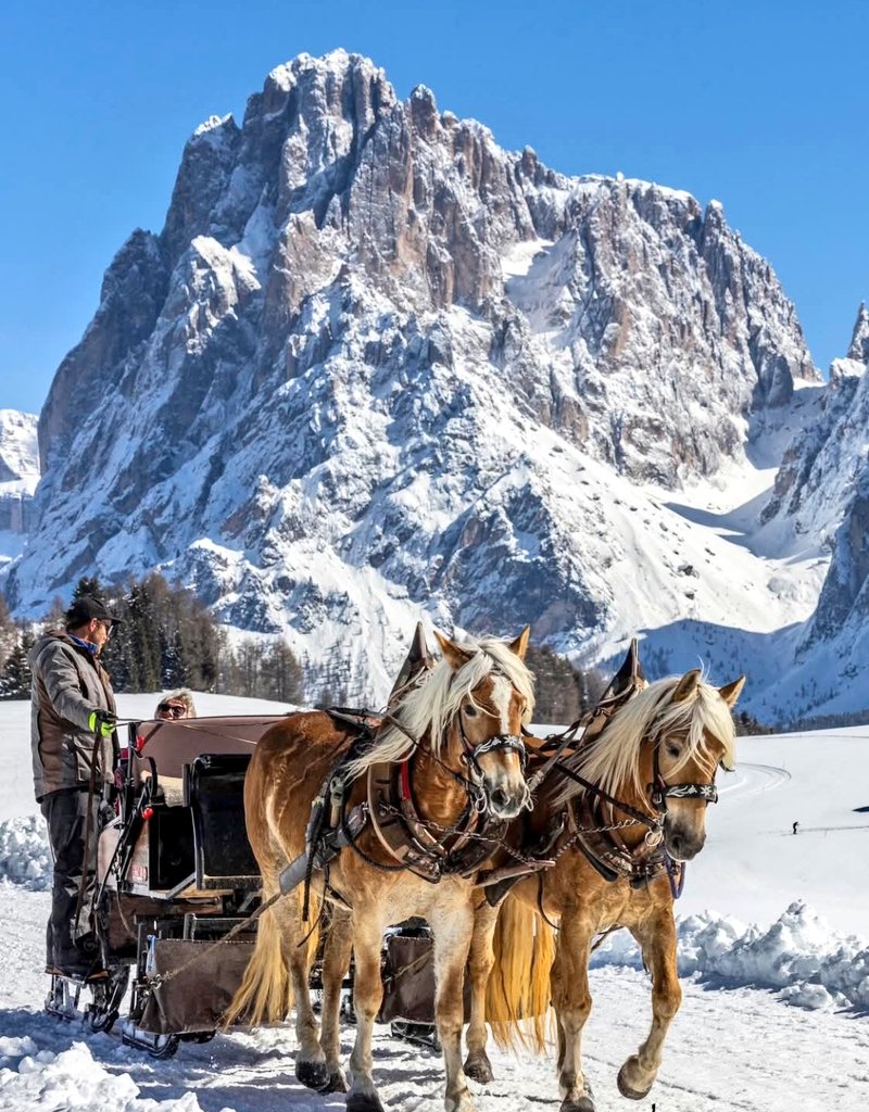 MiniatiMeri's tweet photo. Buongiorno a tutti ☕️
Buon mercoledì 🌹
#sassolungo #valle #di #siusi♥️ https://t.co/QIQLhFcc9r