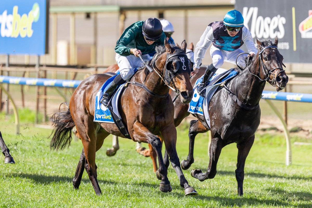Velvet Fox too tough.

At just her second start the 3YO daughter of Foxwedge has made an immediate impact following her debut second.

Congratulations to her connections, Velvet Fox was a $47,000 Adelaide Magic Millions Yearling Purchase by Clarken Bloodstock.
