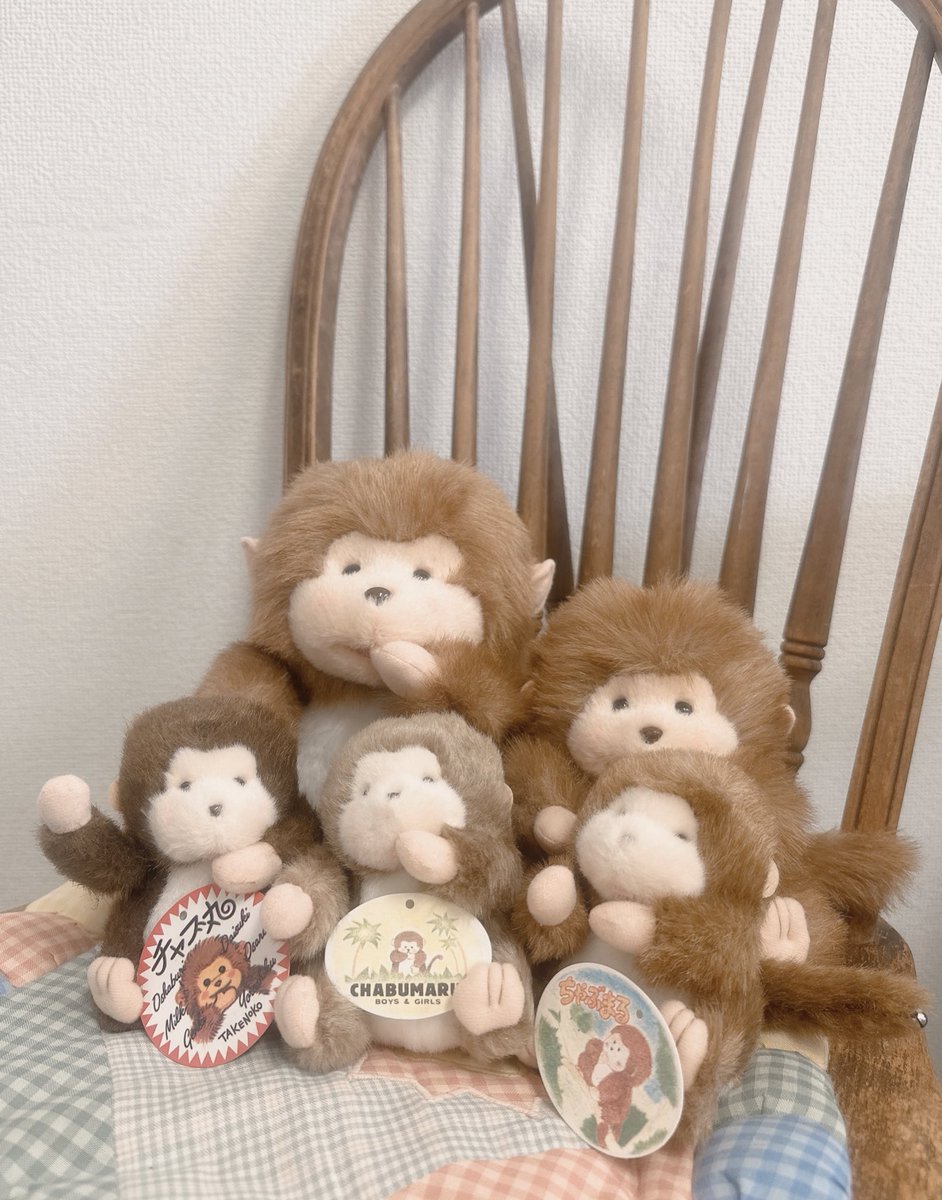 チャブ丸🐵🌴♡