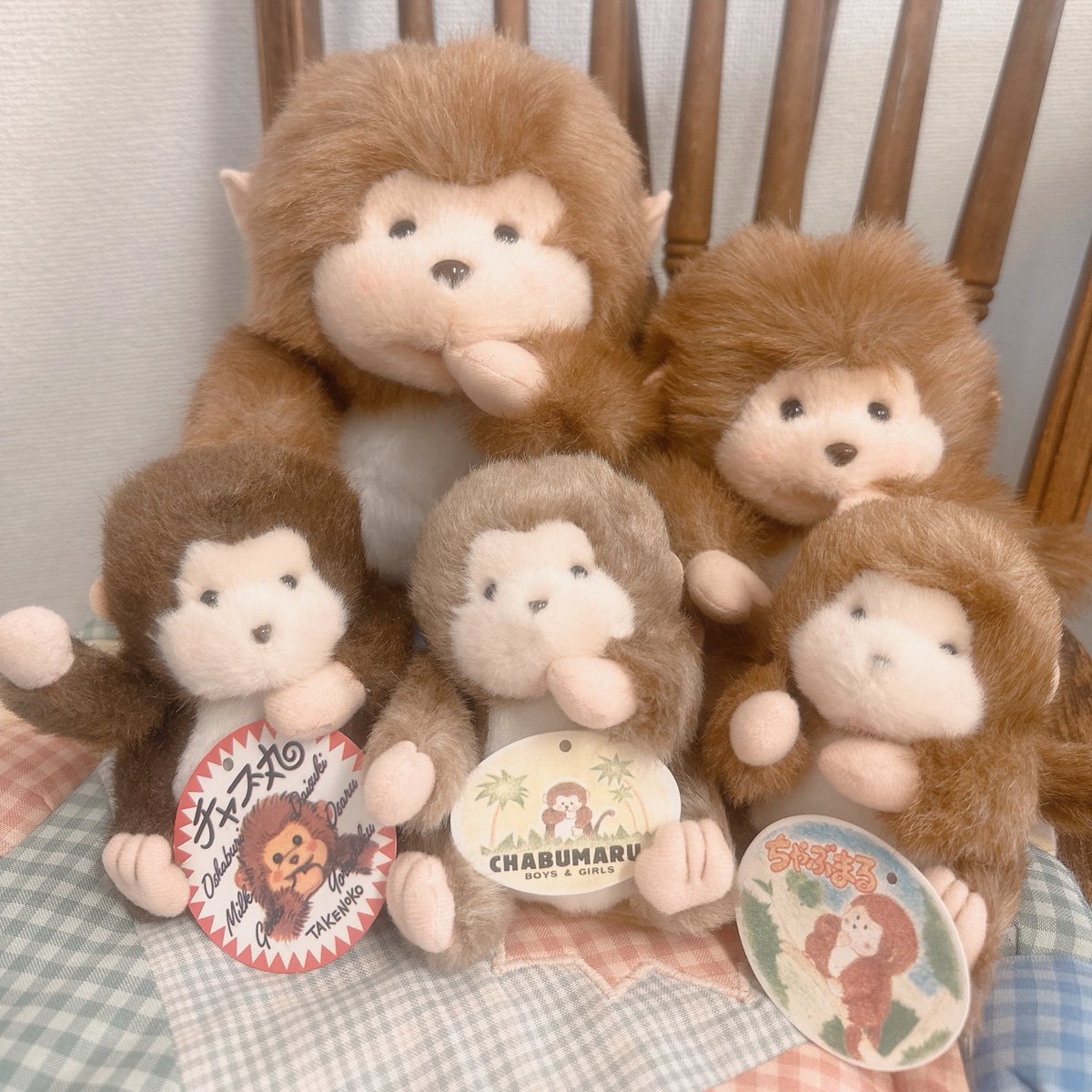 チャブ丸🐵🌴♡