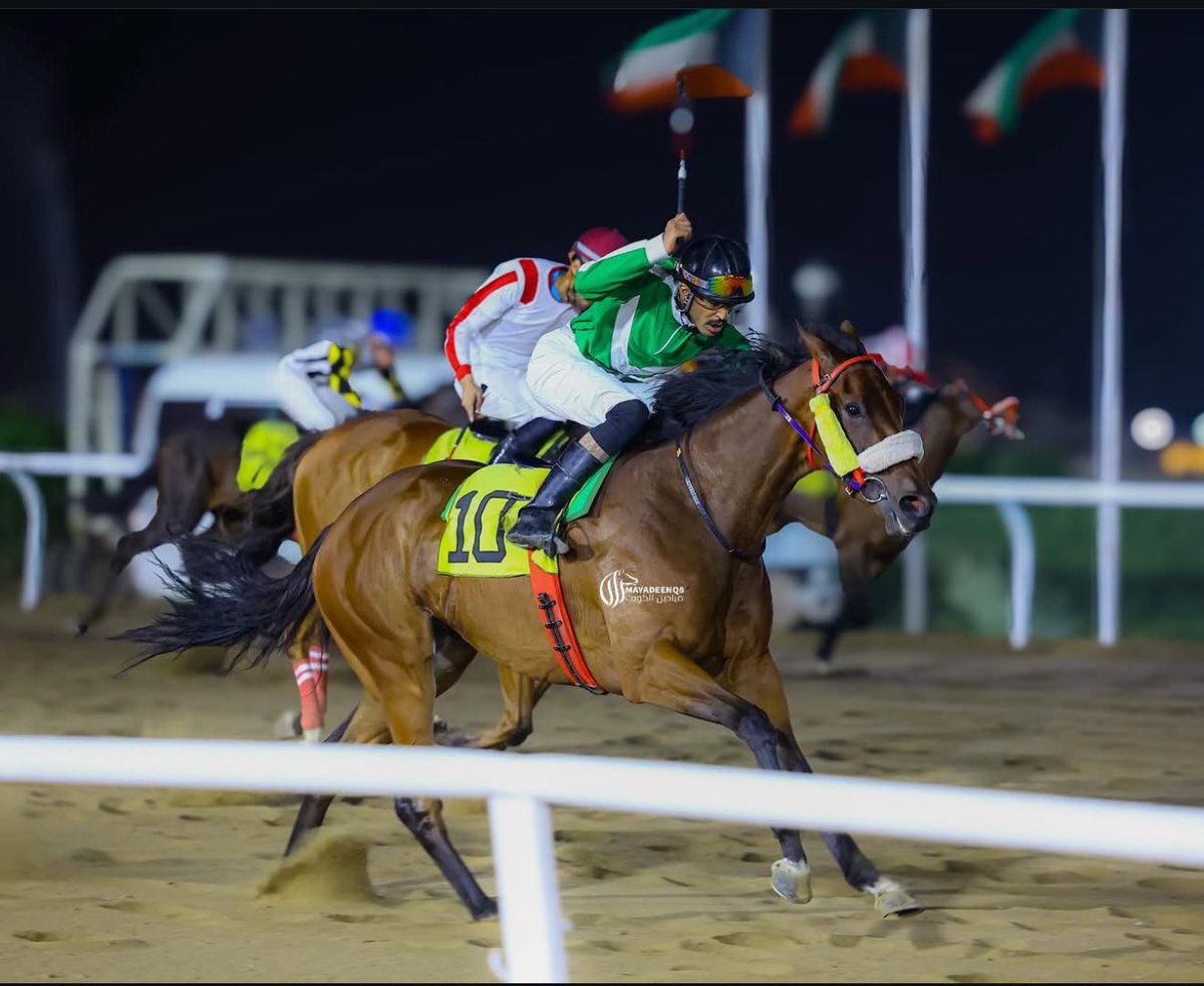 thrb81's tweet photo. اللهم لك الحمد في ختام مشاركتي بموسم سباقات دولة الكويت اتقدم بالشكر لكافة مضامير دولة الكويت أدارة وملاكاً ومدربين وفرسان ، حيث قضيت أجمل الأيام وكسبت العديد من الاخوة والاصدقاء وأضفت لمسيرتي الرياضية وتجربتي خير اضافه وأغنى مكسب❤️🇰🇼. 
#الكويت https://t.co/zRINjqMDZJ