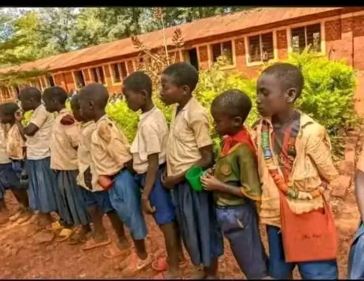 Taja Jina La Shule Ya Msingi Uliyosoma Nitakuambia Inapatikana Mkoa Gani Pia Ukimpata Mwenzako Mpe Hi?⤵️