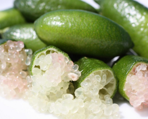 BeCitrusOnline's tweet photo. La Boveta Cítrics... Reconocidos especialistas y pioneros en el desarrollo, cultivo y comercialización de cítricos exóticos, apreciados por su alto valor gastronómico y su contribución a la #cocina de calidad.

#CítricosExóticos #Chef #DesarrolloRural #Dénia #MarinaAlta #Alicante https://t.co/2rwsg7N8DI