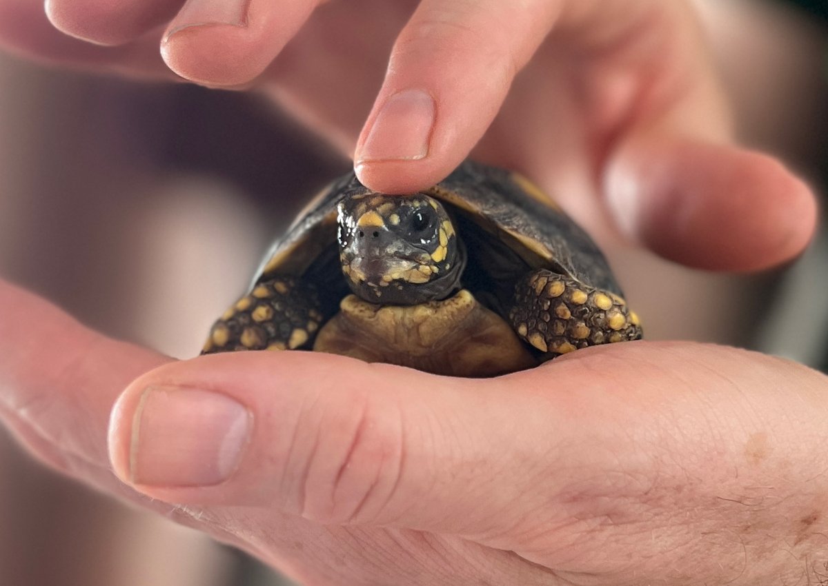 Fran Healy (@franhealy) on Twitter photo 