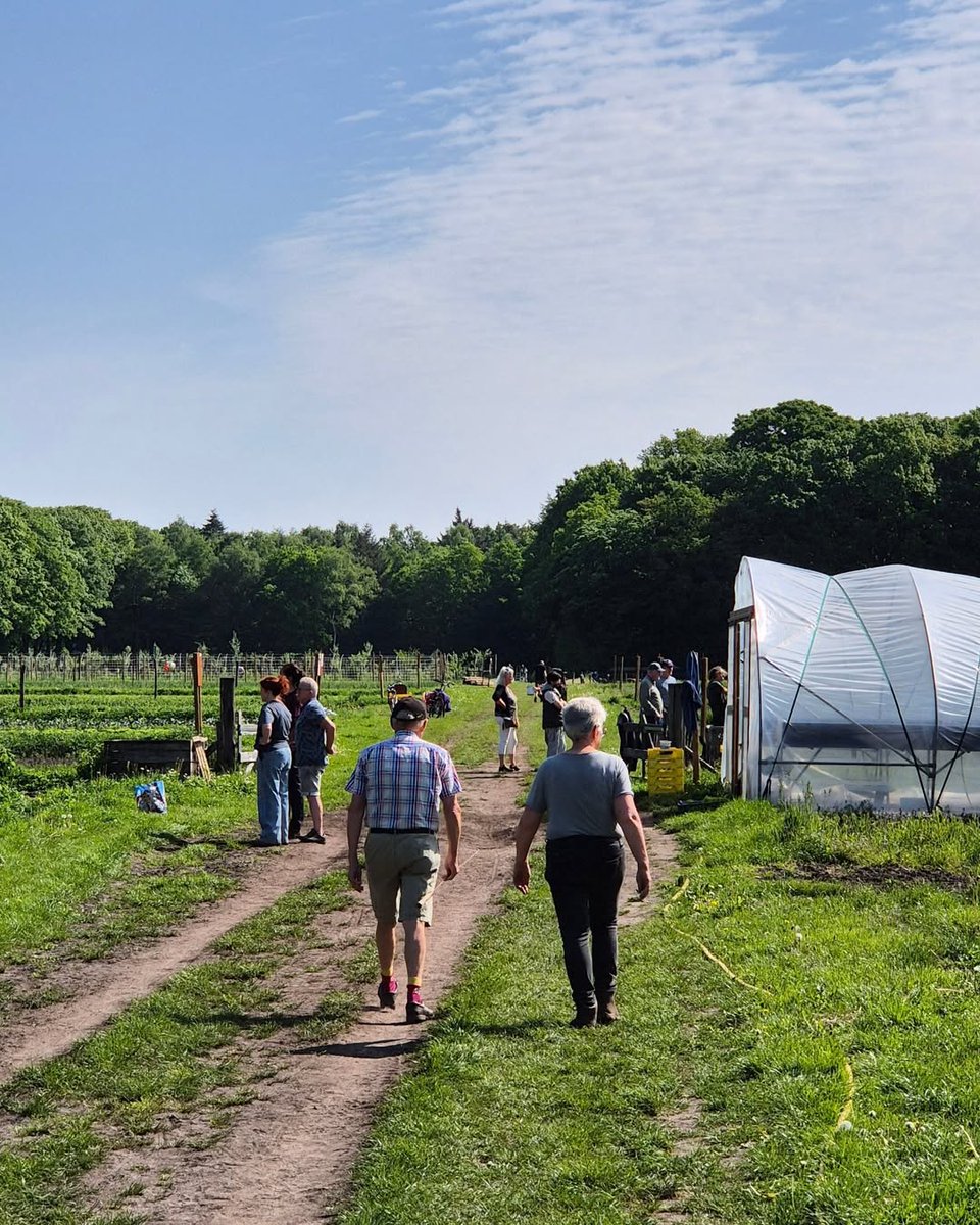 LandmeerseLoop's tweet photo. Afgelopen zaterdag weer prachtige uitgifte dag met kakelverse groente zoals andijvie, sla, raapstelen, witlof, bloemkool, asperges, kruiden etc. Dit alles een keer van dichtbij zien? Geef u op voor rondleidingen van 17 of 31 mei. Klik op https://t.co/GzGi96iy3t #gezondeten https://t.co/ABPUd0hpCp