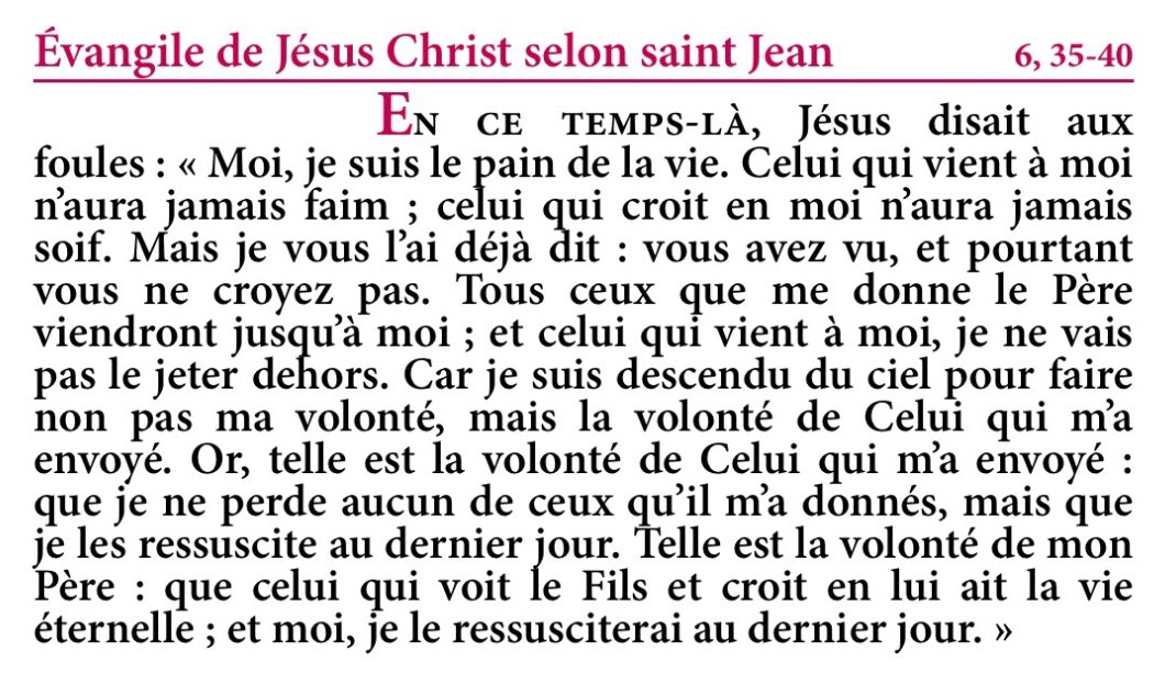 PSEVEZsj's tweet image. &quot;Telle est la volonté de mon Père : que celui qui voit le Fils et croit en lui ait la vie éternelle ; et moi, je le ressusciterai au dernier jour.&quot; Jn 6 ☀️

☀️ #Pâques ☀️ #EvangileduJour ☀️