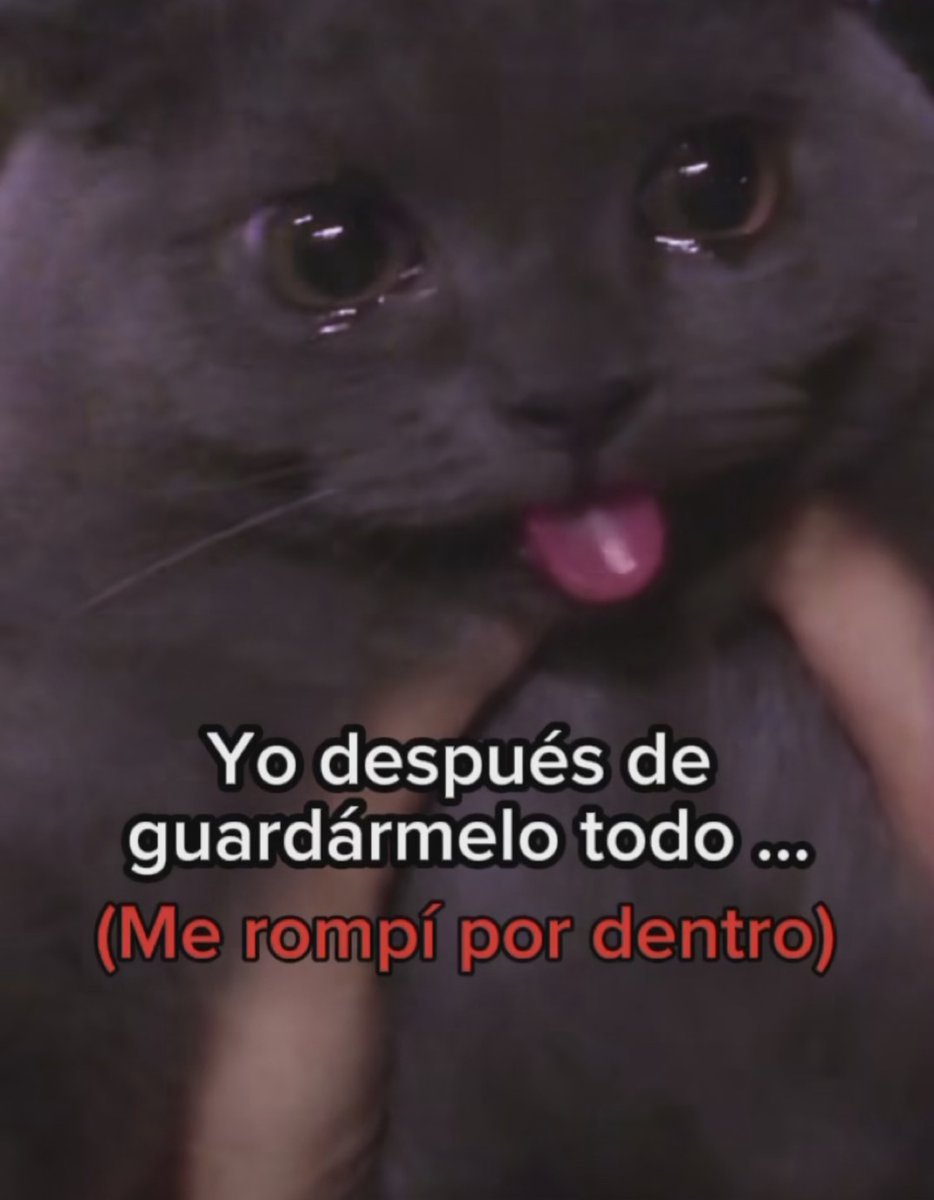 En Júpiter (@en_jupiter_) on Twitter photo 