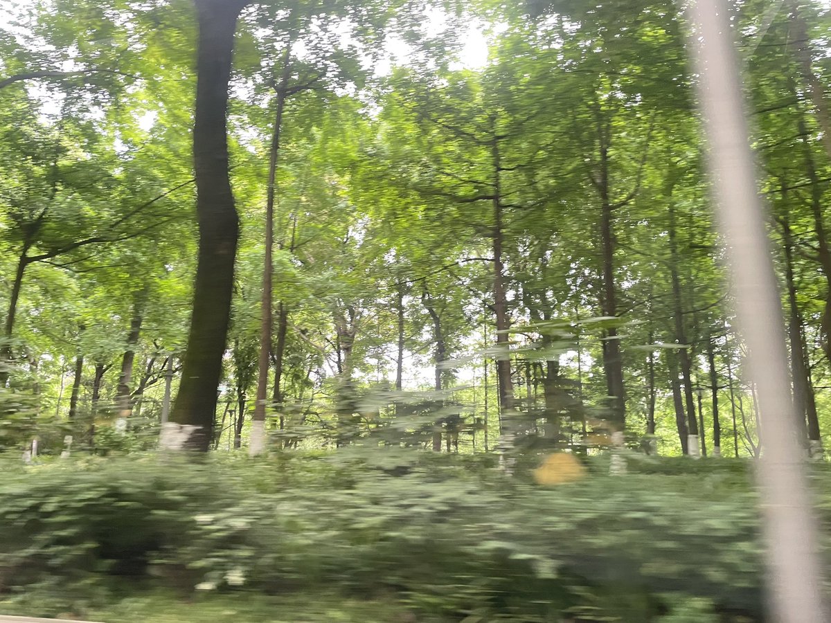 凶手总是喜欢事后回到案发现场