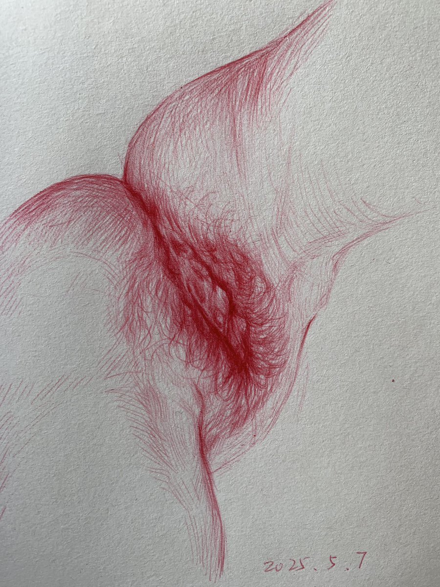 美，今日小速写
欢迎点赞转发
@Fengsiyuan 
@luo8469 
 #sketch https://t.co/2lARzvfvYe