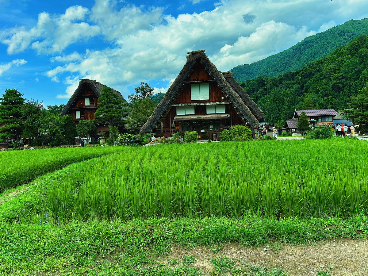 Missing Japan 🇯🇵 so much right now