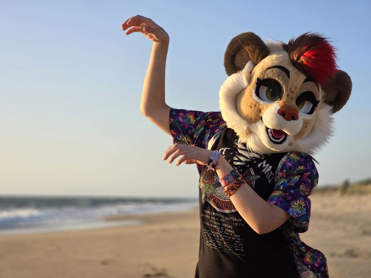 SneakyyLion's tweet image. Let me see your best lion pose! 🦁 ✨️

📸 @Leonidas_PupLeo
