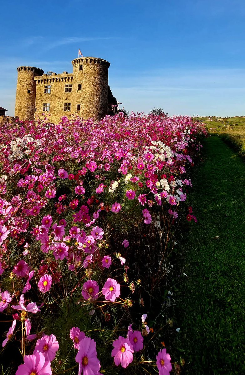 Château de Pagax (@depagax) on Twitter photo Château de Pagax ⚔️ Flagnac-Aveyron-France 
chateau-de-pagax.com Château de Pagax ⚔️ Flagnac-Aveyron-France 
chateau-de-pagax.com