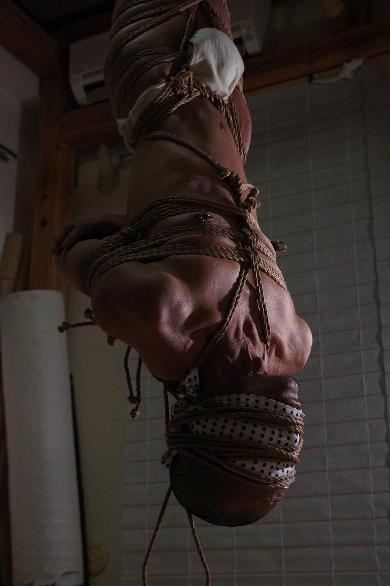 可哀想だが
かっこえー