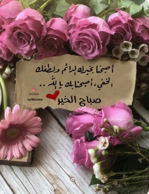  ڛۣــحۡــٰٱ̍بــہ ̨؏ــٰٱ̍بــڔه (@ma16_a_1) on Twitter photo لكل من يترقب شروق الشمس كل صباح، ليبادلنا التحية بالابتسامة والكلمة العذبة، ولكل من يخصنا بالدعوات الطيبة التي تملأ قلوبنا بالنور والسرور، صباحكم إشراقة أمل وسعادة لا تنتهي🌹
<a href="/Ma16_A_1/"> ڛۣــحۡــٰٱ̍بــہ ̨؏ــٰٱ̍بــڔه</a> لكل من يترقب شروق الشمس كل صباح، ليبادلنا التحية بالابتسامة والكلمة العذبة، ولكل من يخصنا بالدعوات الطيبة التي تملأ قلوبنا بالنور والسرور، صباحكم إشراقة أمل وسعادة لا تنتهي🌹
<a href="/Ma16_A_1/"> ڛۣــحۡــٰٱ̍بــہ ̨؏ــٰٱ̍بــڔه</a>