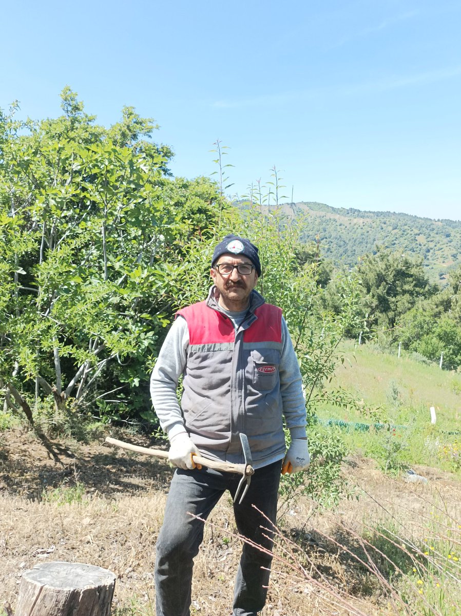 Orak çekiç  Aut  Yaşasın  Çapa