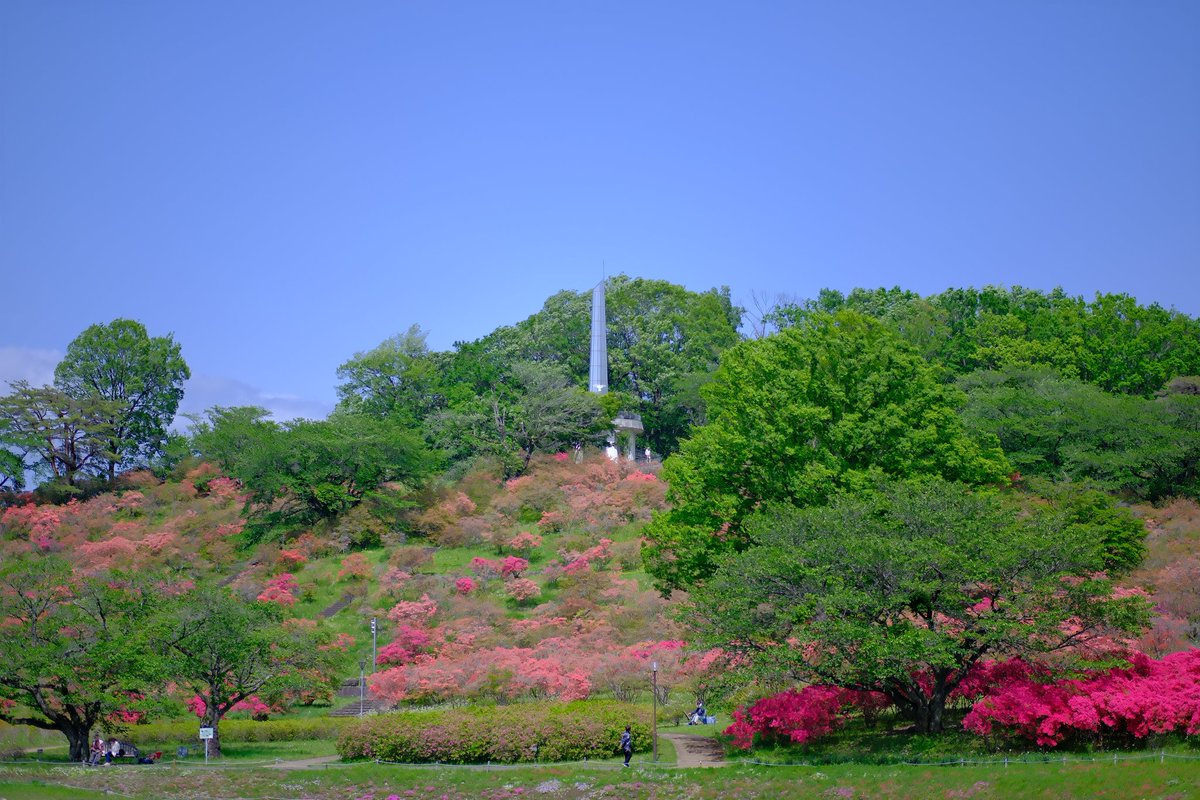 齋藤喜徳 tweet media