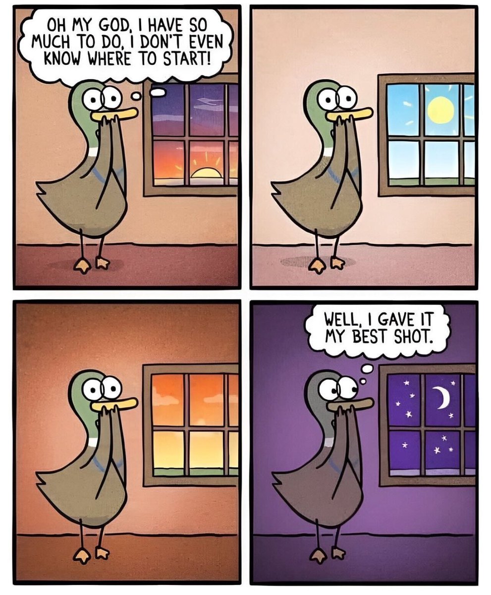 ADHD Memes tweet media