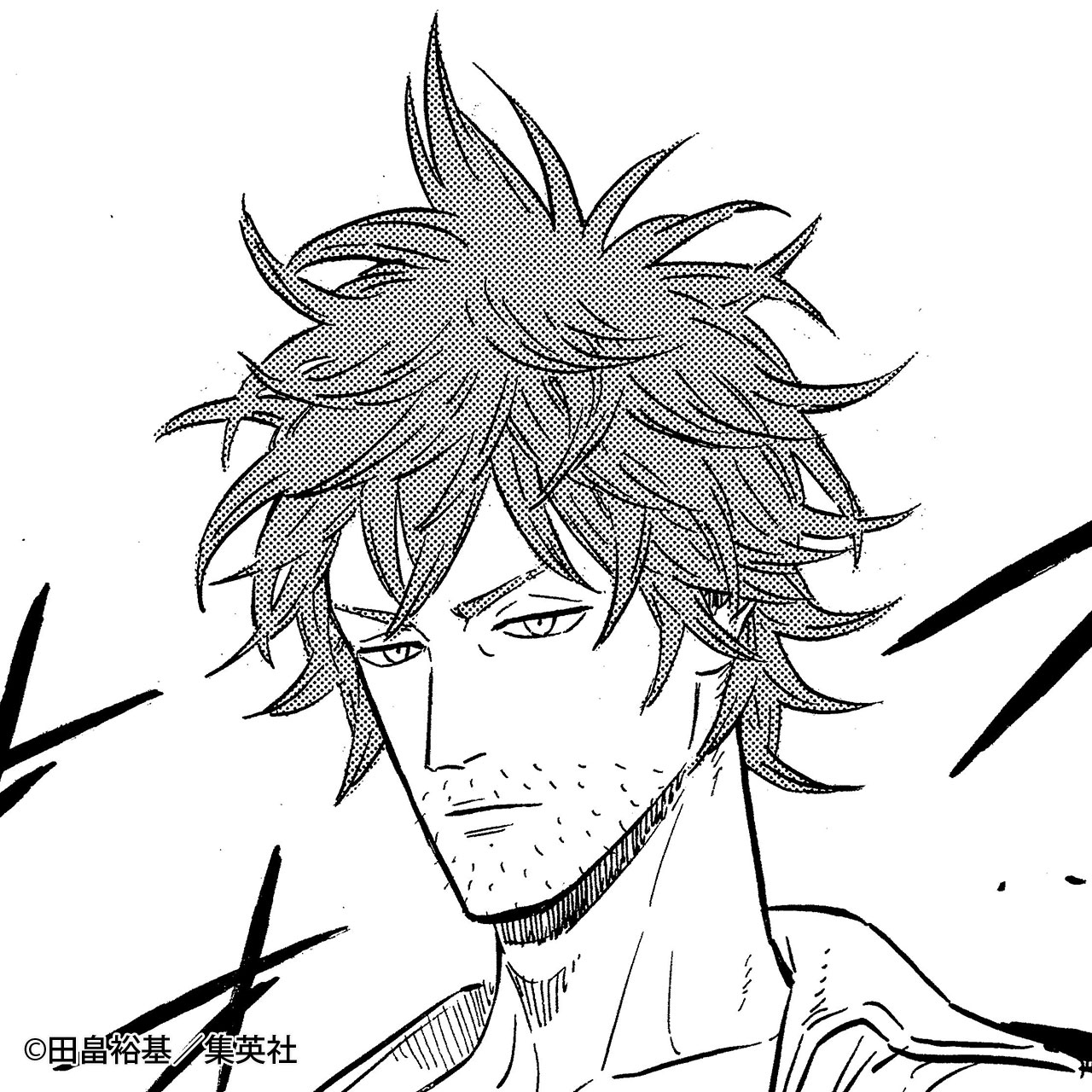ブラッククローバー 19／田畠 裕基 | 集英社コミック公式 S-MANGA