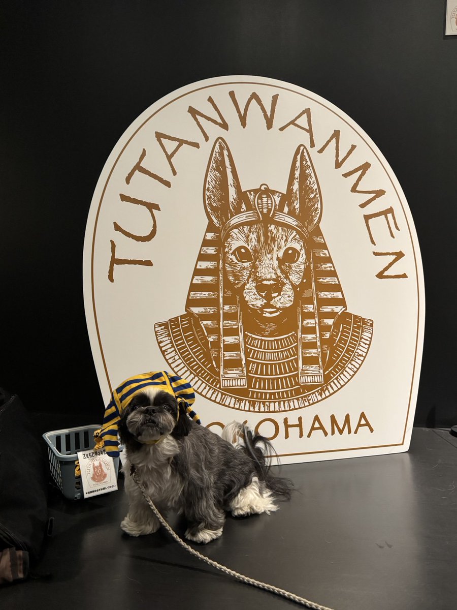 たくさんの神様とのご来場ありがとうございました! エジプトのアヌビス