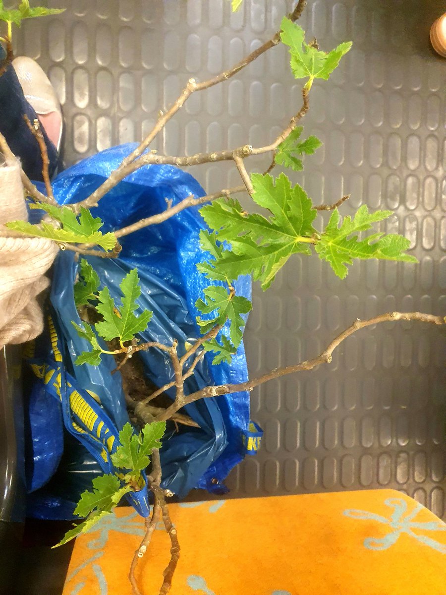 Berny Cichostepski tweet media