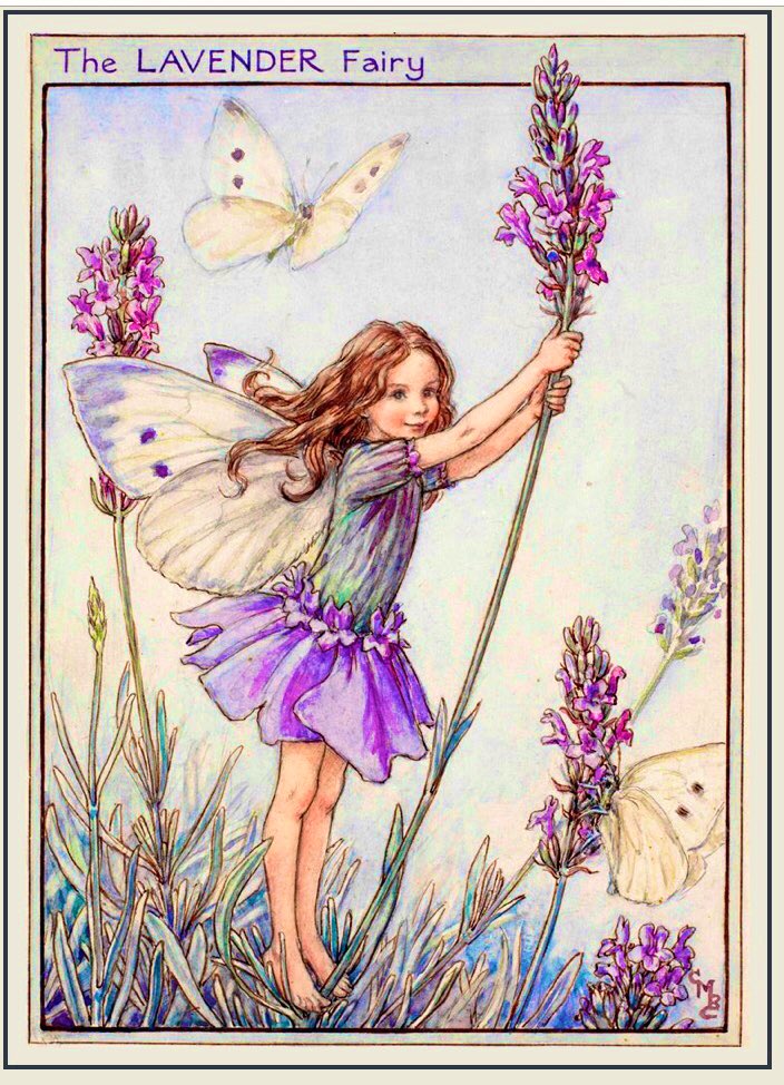 Lavender was most likely brought to Britain by the Romans. The name comes from the Latin verb ‘lavare’, meaning ‘to wash’, &amp; one way the Romans used it was in their baths. They also used lavender to dress wounds, repel insects &amp; to burn in worship of their gods. #WyrdWednesday