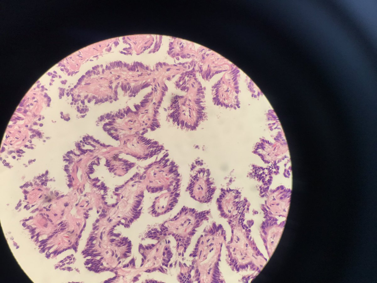 Mahabub Alam tweet media