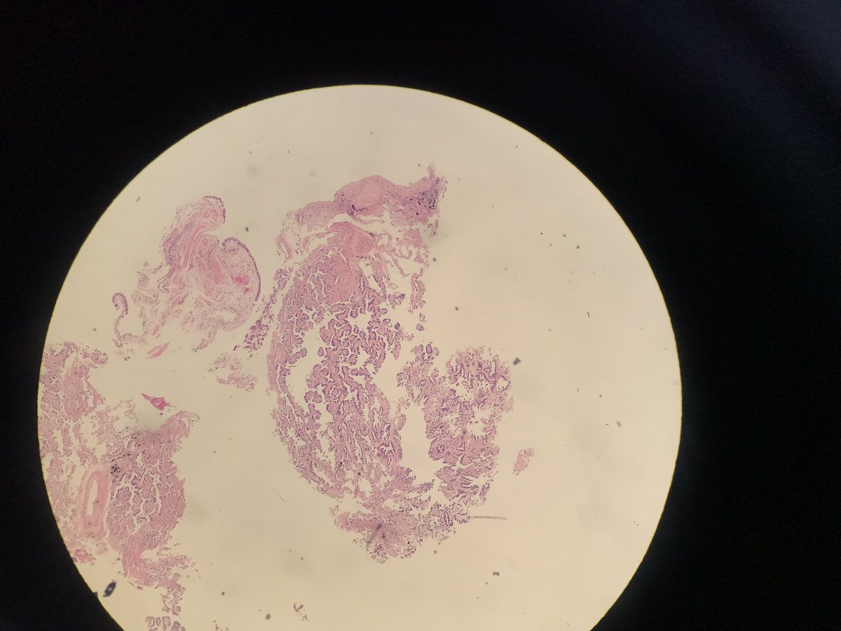 Mahabub Alam tweet media