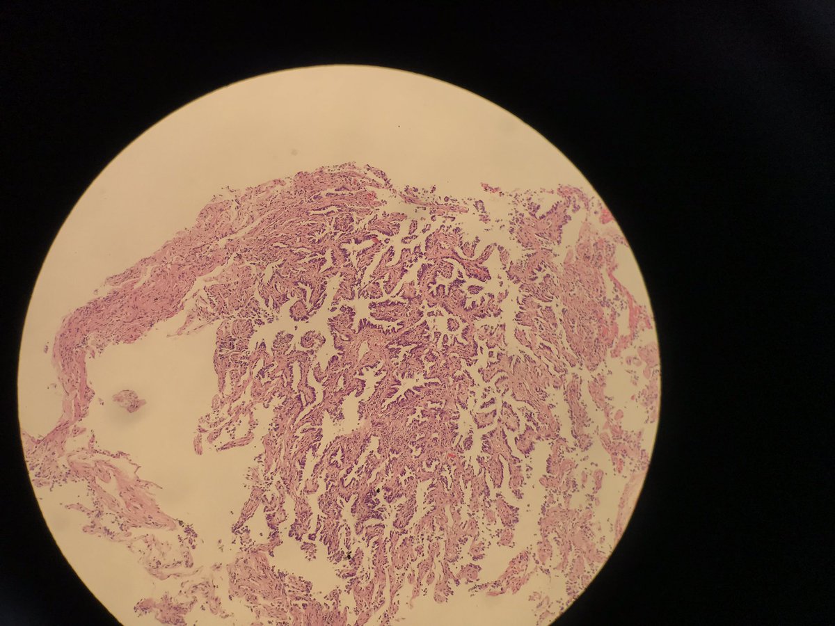 Mahabub Alam tweet media