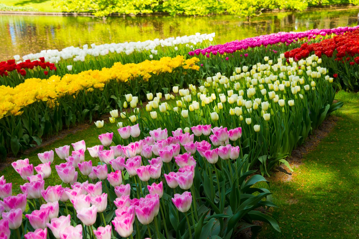 Rethinking #Network #Segmentation - A #Business Centric #Security #Strategy

In modern enterprise environments, network segmentation and segregation should be treated as fundamental #security measure rather than optional enhancement. When aligned with business functions, Virtual