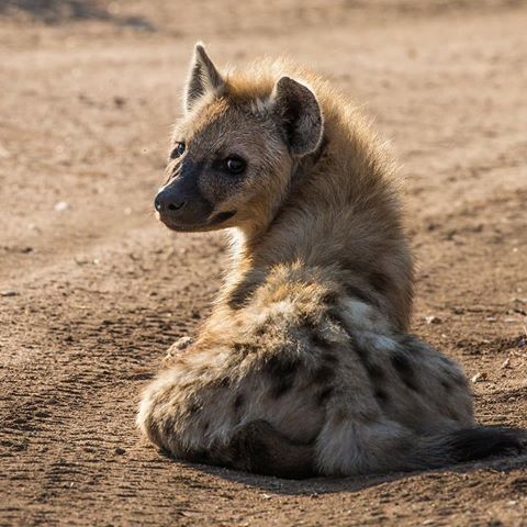 HourlyYeen's tweet photo. [🔗](https://t.co/IKkObf2lUK) https://t.co/RO6GX3aw1Z